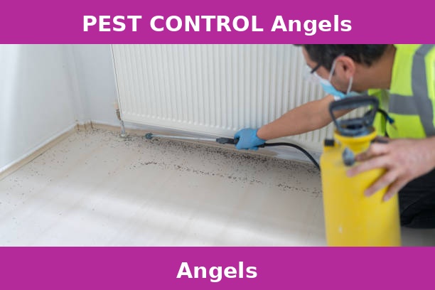 PEST CONTROL Angels